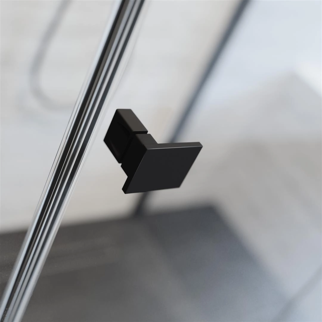 Cabina dus Radaway Essenza Pro Black PDD 100x100 h=200 — 3