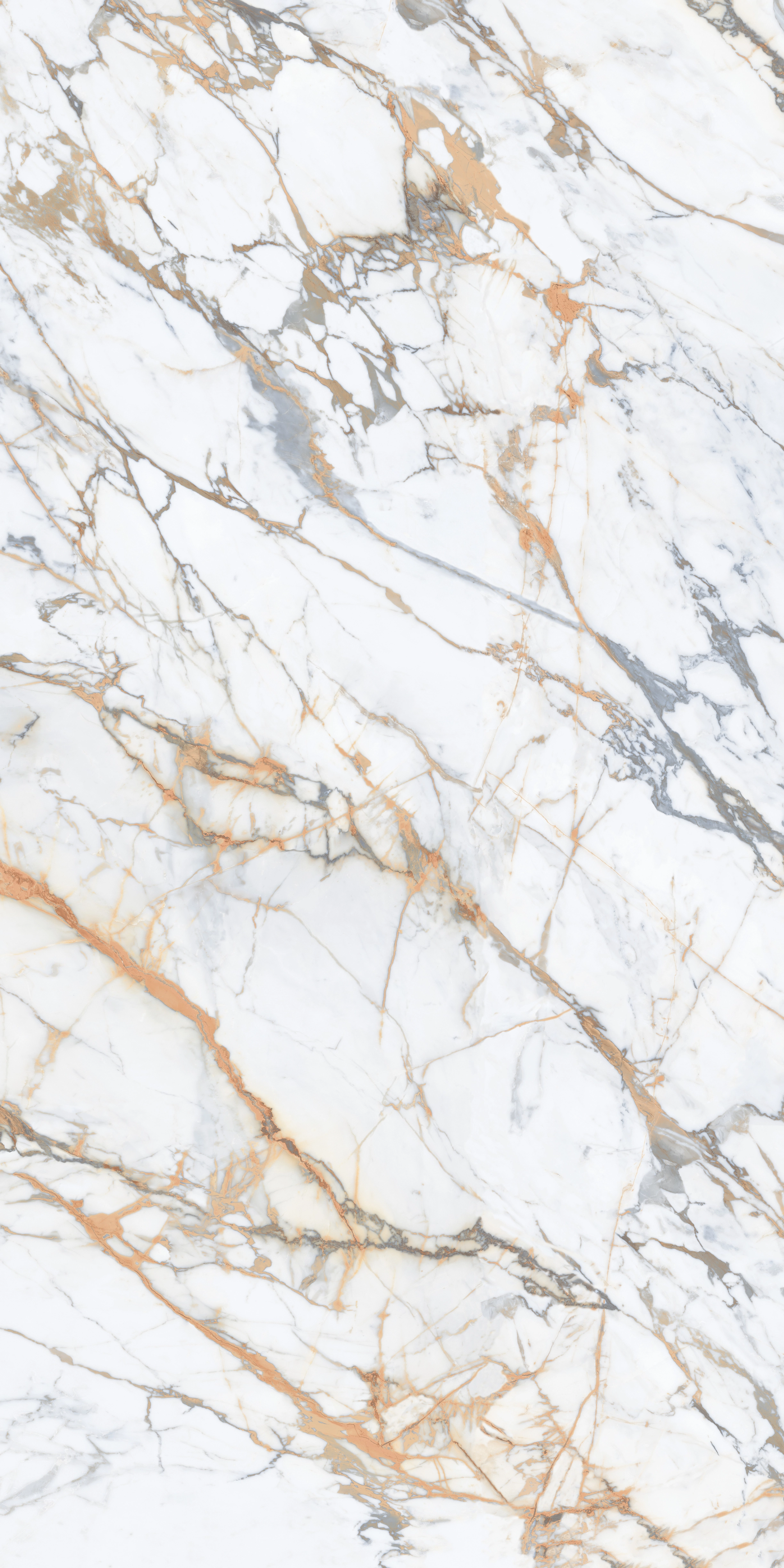 CALACATTA MACCHIA MAT 160x320