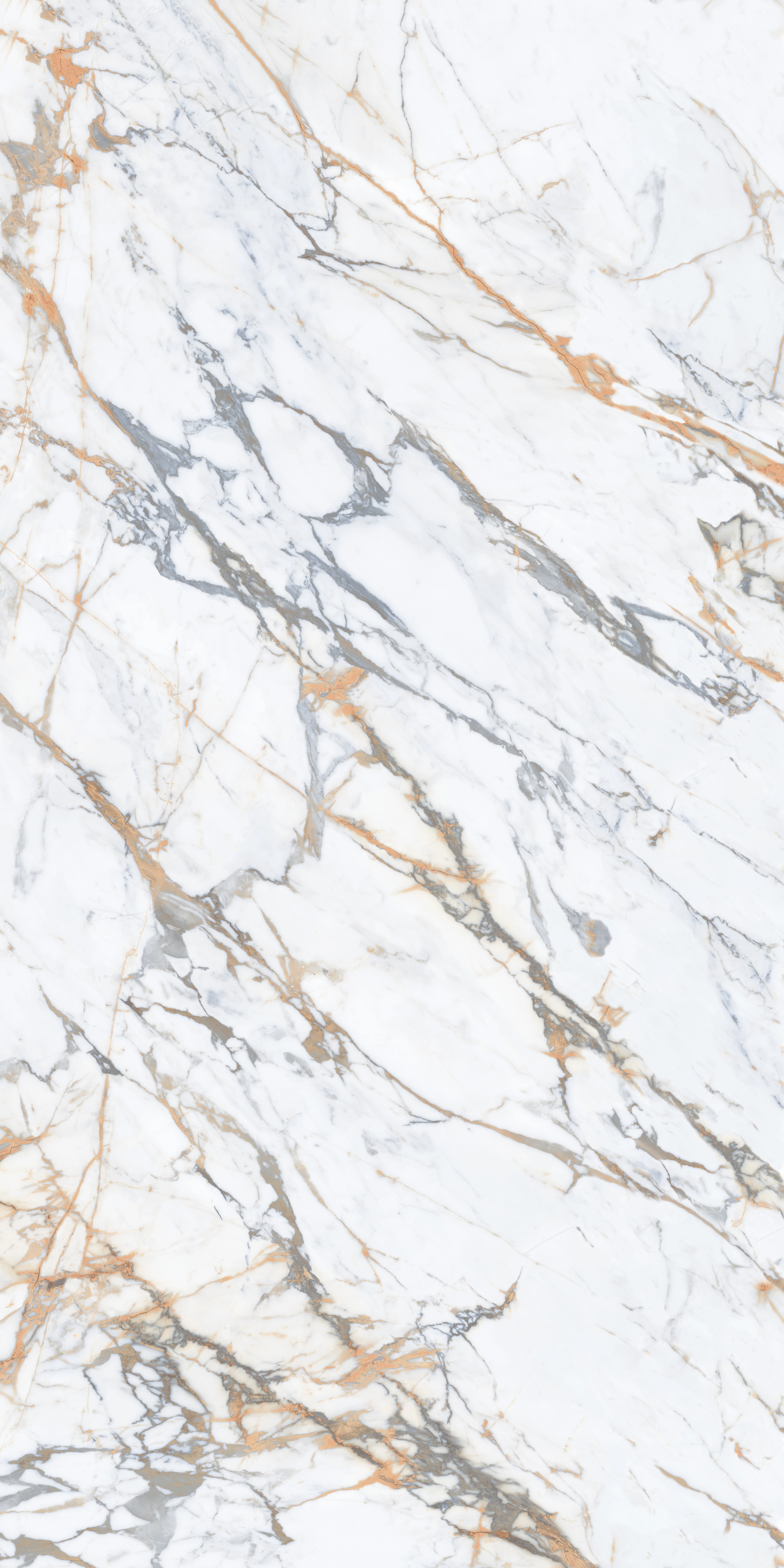 CALACATTA MACCHIA POL 160x320 — 2