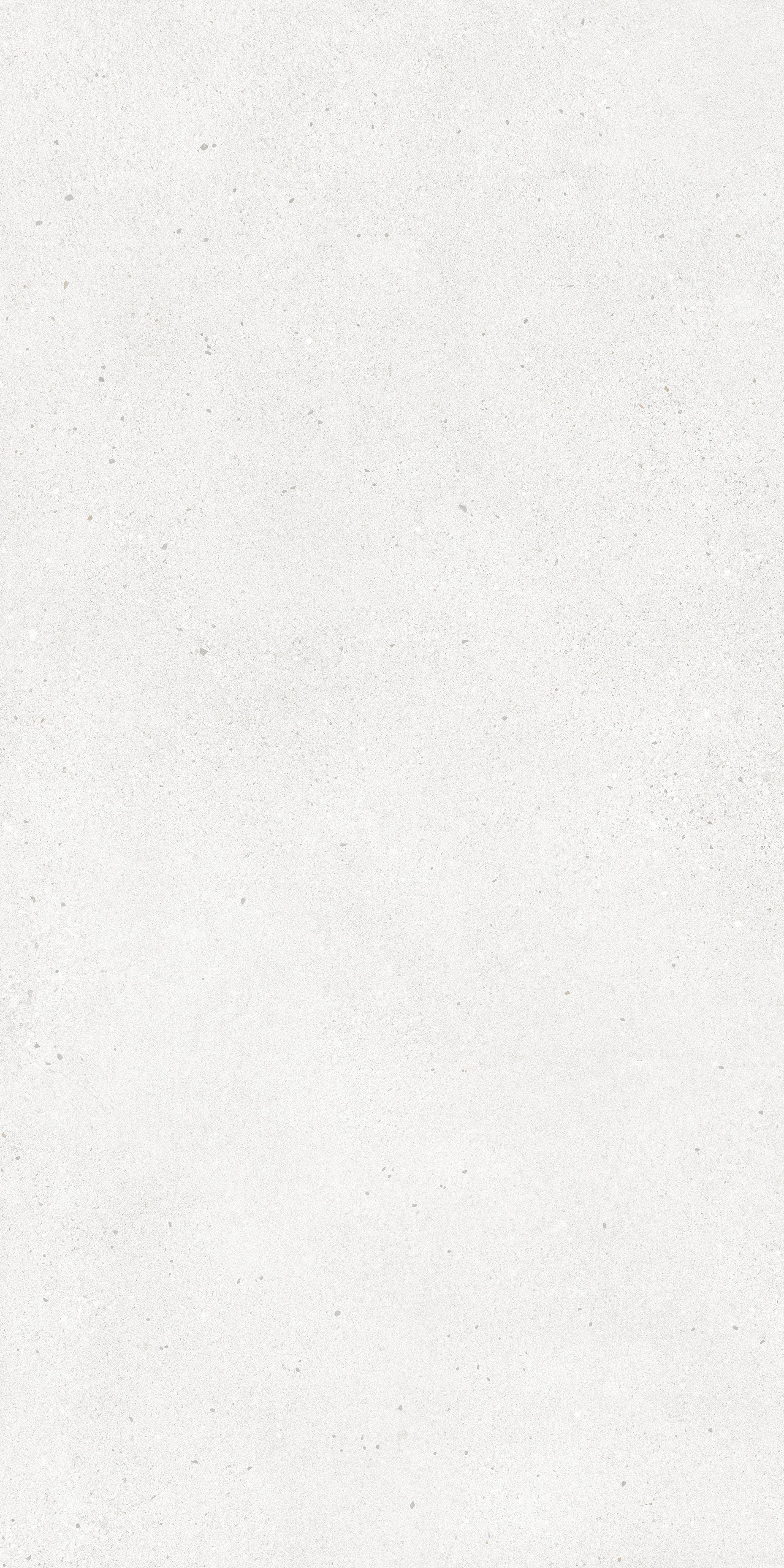 BRIGHTON PEARL 60x120