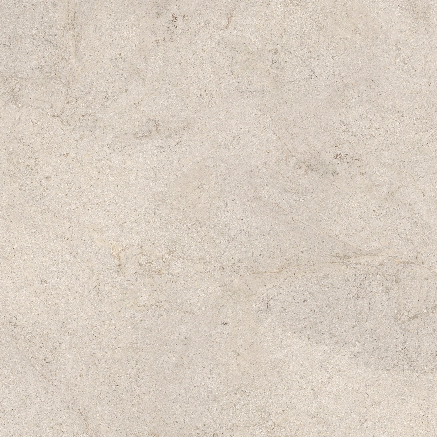 DORCIA BONE L C-2 120X120