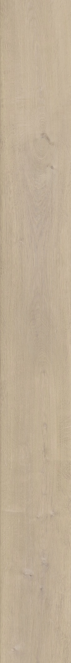 GENT ARCE 19,3X180 — 3