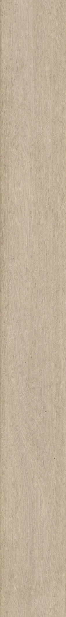 GENT ARCE 19,3X180 — 2
