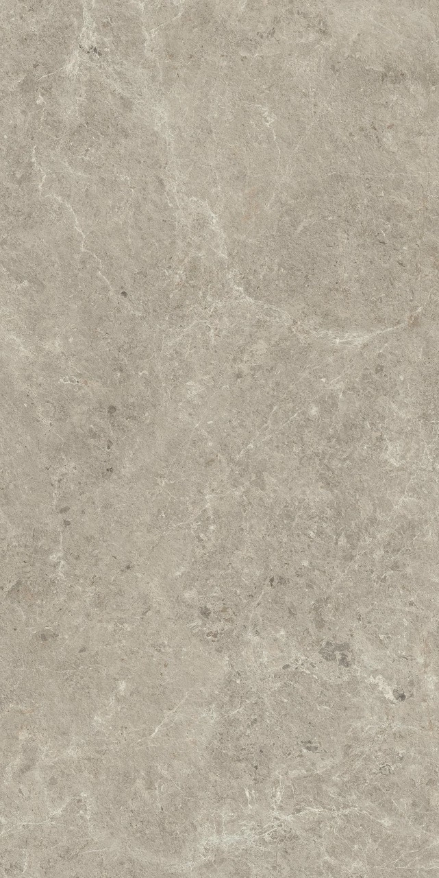 Nyra Mist 60x120 — 3
