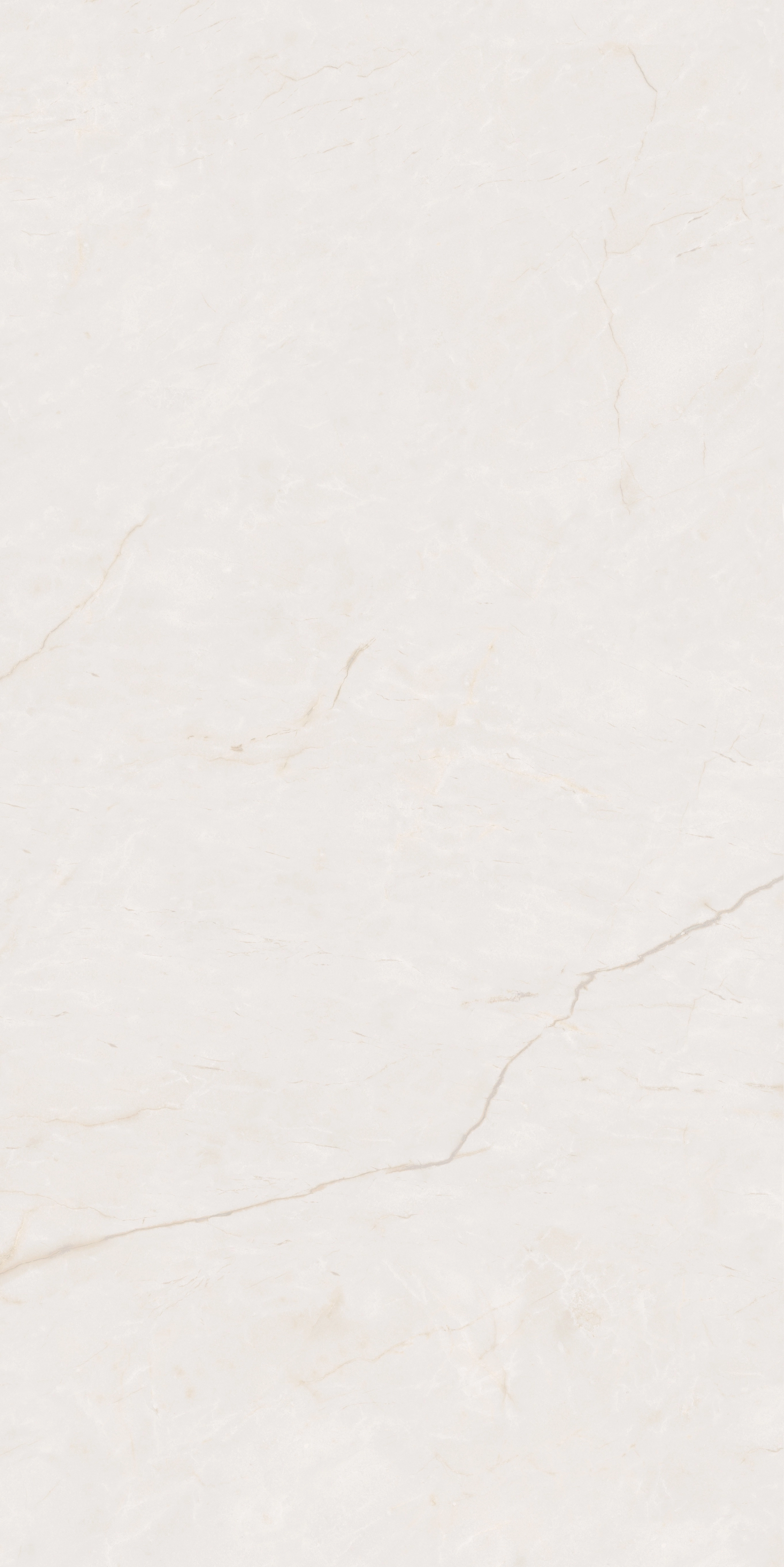 SUBLIME BEIGE POL Rect.60x120 — 2