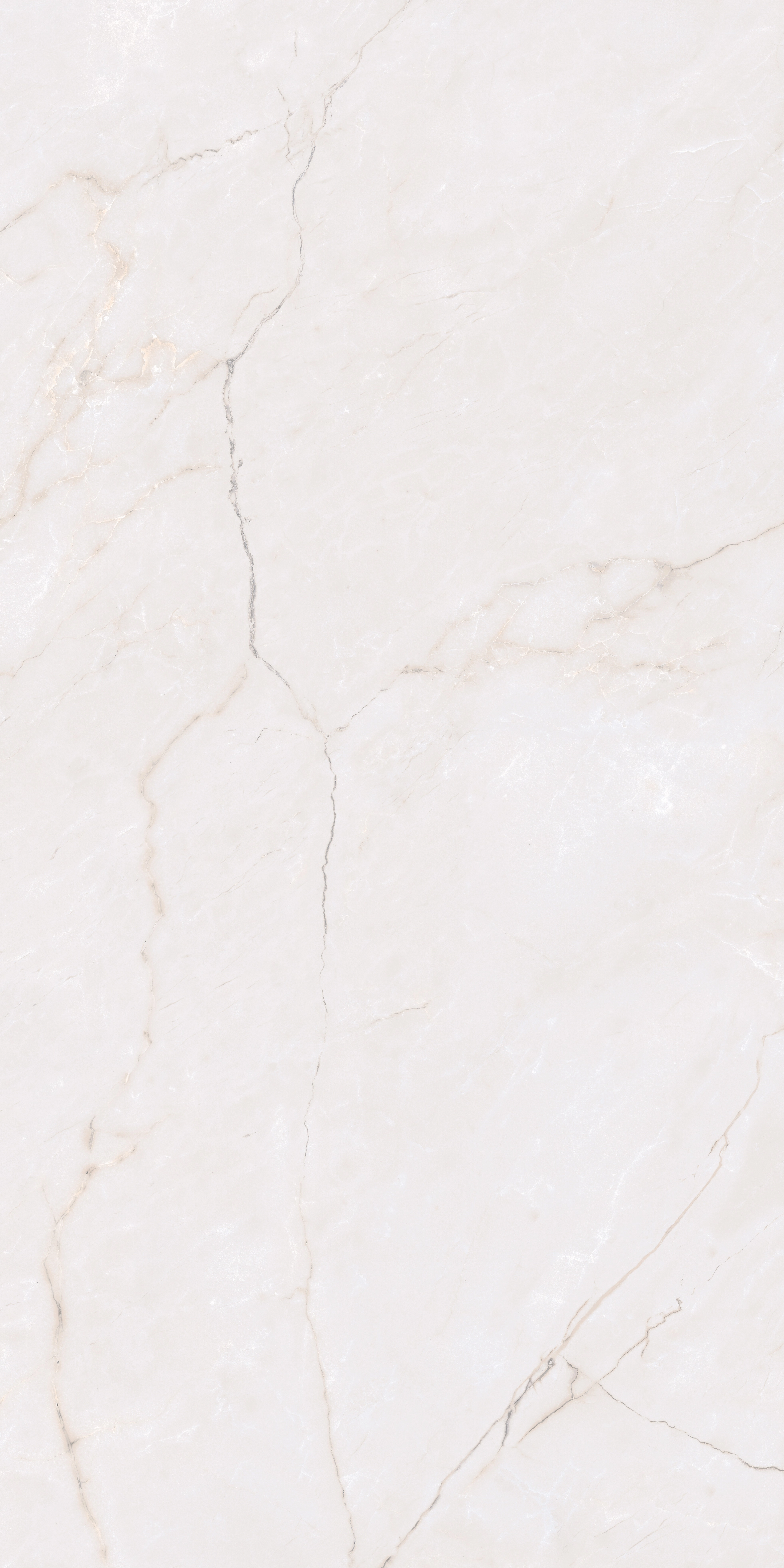 SUBLIME  BLANCO Mat Rect.60x120 — 2